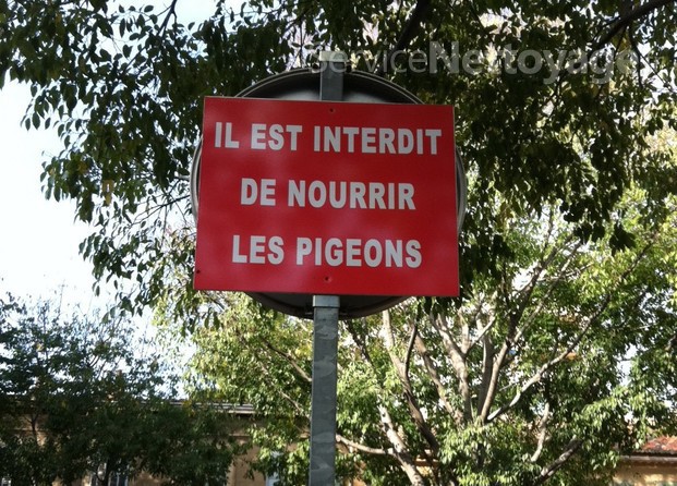Panneau pigeons