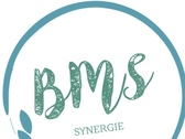 BMS SYNERGIE