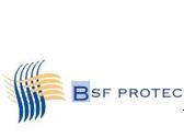 BSF Protec